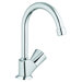 Classic II One Handle Single Hole Cold Water Dispenser Faucet