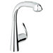 Ladylux&sup3; Single Handle Single Hole Kitchen Faucet with Watercare and Plus Pull-Out