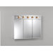 Frameless Ashland Surface Mount Cabinet with Five Bulbs in White