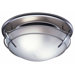 Decorative Bathroom Fan and Light with Glass Globe in Satin Nickel