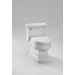 Lloyd One Piece Toilet with Softclose Seat