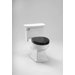 Eco Lloyd 1.28 GPF One Piece Toilet