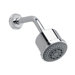 818 Series Shower Head with Arm and Flange