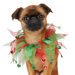 Holiday Heart Scrunchy Dog Neckware