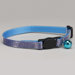 Glitz Cat Collar