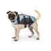 Fashionable Life Preserver for Dogs