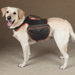 Dog Backpack