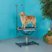 Hydraulic Grooming Table
