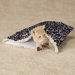 Wild Time Hide-N-Tweet Crinkler Cat Toy