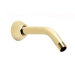 Shower Arm