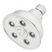 Anystream Caspian Shower Head with Classical Look