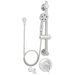 Alexandria ADA Hand-held Shower and Tub Combination with Grab Slide Bar and Diverter Tub Spout