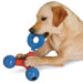 Puzzle Station Nubby Ring Dog Toy