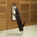 Stretch N' Scratch (2 Pack)