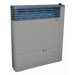 Direct Vent 13,000 BTU Gas Heater