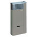 Direct Vent 7,500 BTU Gas Heater