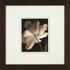Champagne Tulips 2 Framed Print