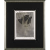 Silver Stem 2 Framed Print