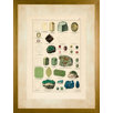 Minerals 3 Large Framed Print