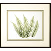 Woodlands 2 Framed Print
