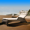 Parrot Savannah Sun Chaise Lounge