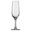 Tritan Congresso 8 Oz Champagne Glass (Set of 6)