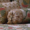 Hazelton Neckroll Pillow
