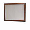 RoughHouse Mirror