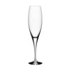 Intermezzo Satin Champagne Flute