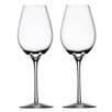 Difference 9" Fruit Wine Glass (Set of 2)