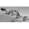 Four Piece Deluxe Faucet Set with Extendable Shower Wand, Steel