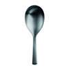 Accessories Carlo Stainless Steel Serving Spoon