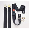 Wheelchair Seatbelts