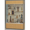 Trophy and Art Display Case with Half Width Shelves