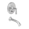 Aylesbury Pressure-Balanced Tub and Shower Trim with Lever Handle