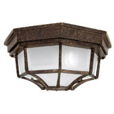 Two Light Outdoor Flush Mount in Tortoise