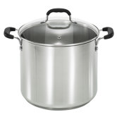 12-qt. Stock Pot with Lid