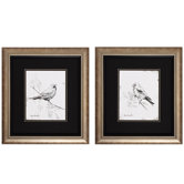 Song Bird III / IV Wall Art (Set of 2)