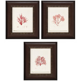 Nature II/III/IV Wall Art (Set of 3)