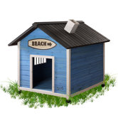 Beach Dog House