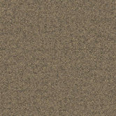 Beech Tree Lane Square Carpet Tile in Shining