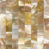 Ocean Jewels 2" x 2" Running Board Accent Tile in Brown Lip