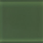 Glass Reflections 4 1/4" x 4 1/4" Glossy Wall Tile in Leafy Green
