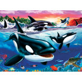 Killer Whales - 500 Piece Puzzle