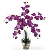 Liquid Illusion Phalaenopsis Silk Orchid Arrangement in Orchid