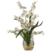 Liquid Illusion Dancing Lady Silk Orchid Arrangement in White