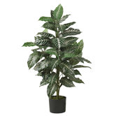 36" Silk Zebra Plant