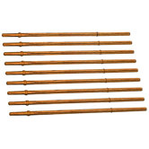 Vision Series Newspaper Rod