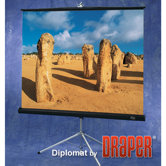Glass Beaded Diplomat Portable Screen - 10' diagonal NTSC Format