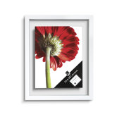 Document 11" x 14" Frame